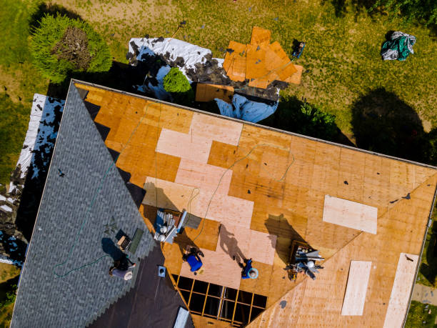 Quick and Trustworthy Emergency Roof Repair Services in Gulfport, FL